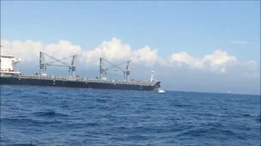 Güneşli bir günde Tarifa, Endülüs 'ten balina izleme gezisi.