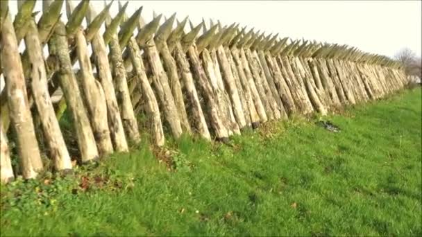 Dybboel Skanse Fortificación Estaca Madera Contra Nubes Grises Invierno Sur — Vídeos de Stock