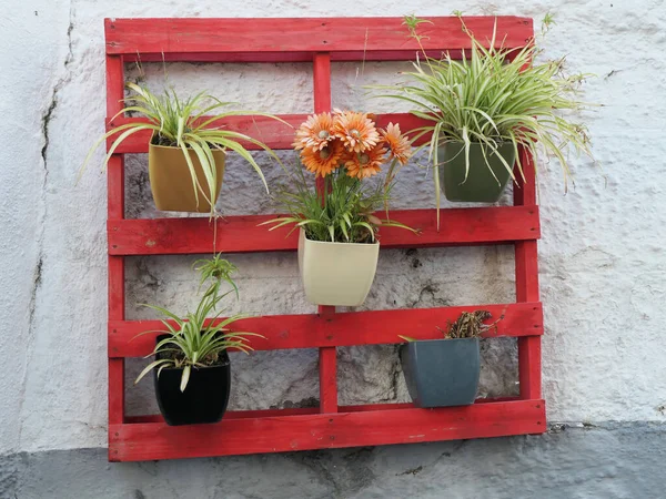 Flower Pots Red Painted Wooden Pallet Village Andalusia Spain — Stock Fotó