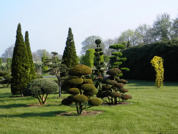 Tree Sculptures — Stock Photo, Image