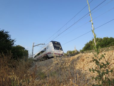 Yerel tren