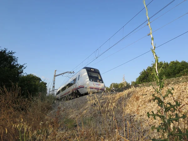 Yerel tren