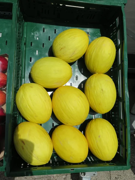 Melões-melão — Fotografia de Stock