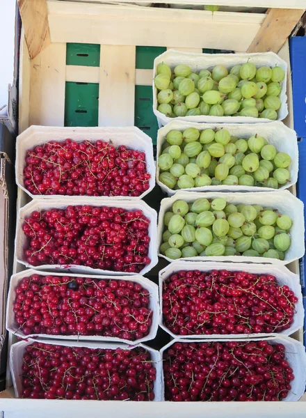 Groselhas maduras frescas e groselhas vermelhas — Fotografia de Stock