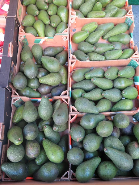 Abacates maduros — Fotografia de Stock