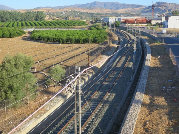Railway track and Orange Grove — Stock Photo, Image