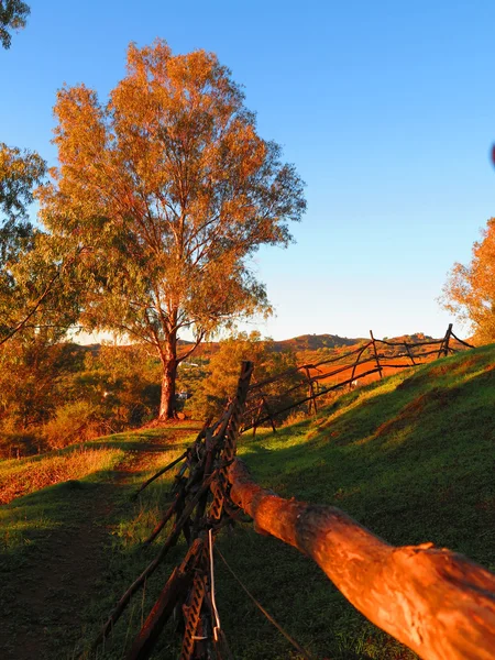 Lantliga rustika staket — Stockfoto