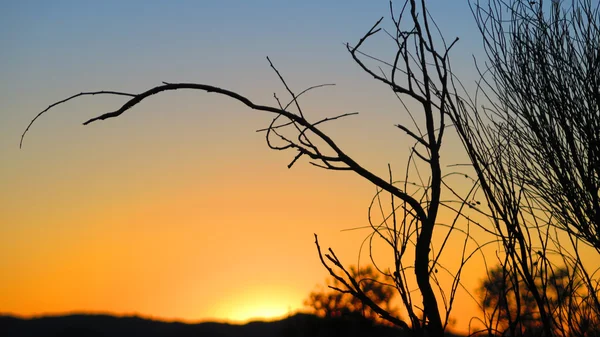 Silhueta ao nascer do sol — Fotografia de Stock