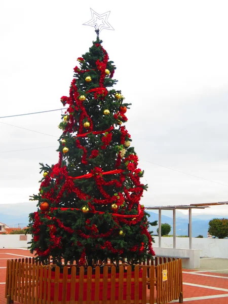 アローラに位置するクリスマス ツリー — ストック写真