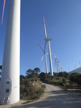 Windfarm Dağı'nda