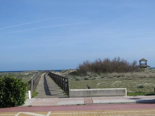 Wooden walkway across dunes — Stock Photo, Image