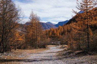 Kuzey İtalya 'daki dağ manzarası güneşli bir sonbahar gününde