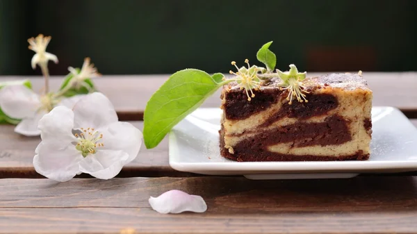 チョコレート チーズケーキ ブラウニー — ストック写真