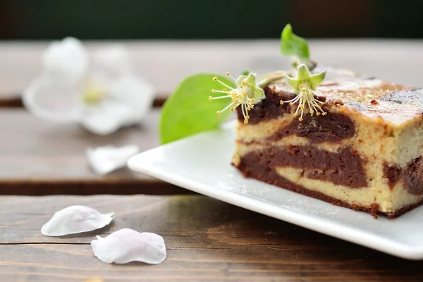 Bolo de queijo de chocolate brownie Imagem De Stock