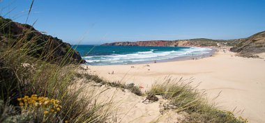 Sarı çiçekli panorama, kumul, dalgalar ve okyanus. Amado Sahili, Algarve, Portekiz.