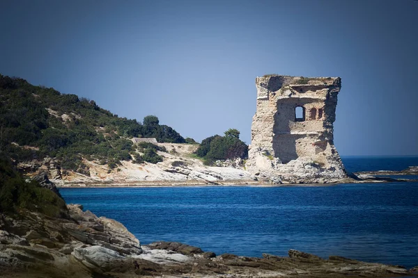 Rovina Una Torre Genovese Corsica Durante Estate Con Mare Blu — Foto Stock