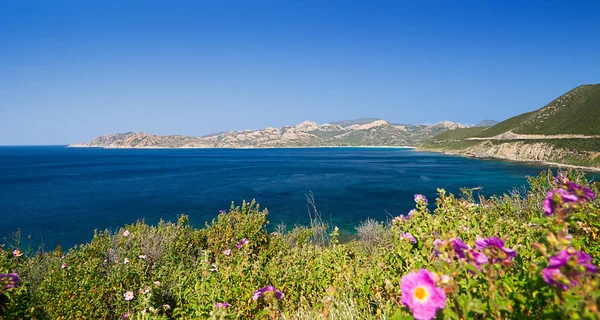 コルシカ島の西海岸サンフロレント 地中海と青空の近く — ストック写真