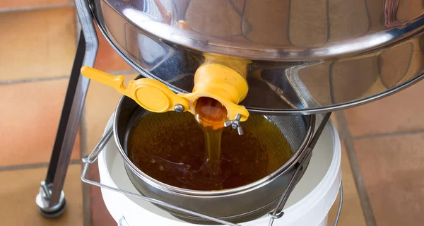 Honey flows into a colander and a bucket while it is being harvested