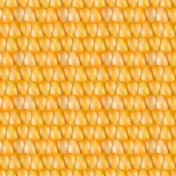 Textura realista maíz, ilustración vectorial . — Vector de stock