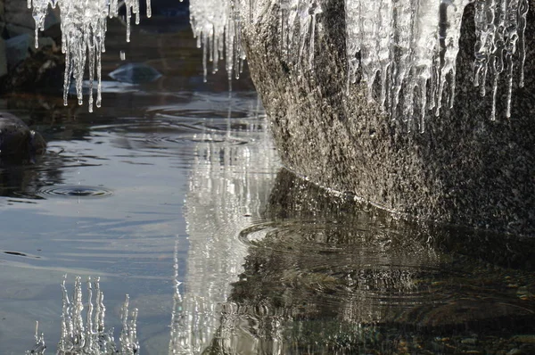 Gyönyörű Téli Tavasz Táj Tükröződik Jégcsapok Tiszta Víz Teletskoye — Stock Fotó