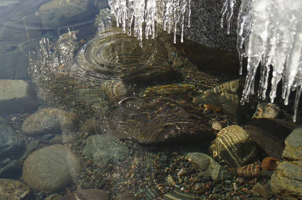 Krásná Zimní Jarní Krajina Odraz Rampouchů Průzračné Vodě Jezera Teletskoye — Stock fotografie