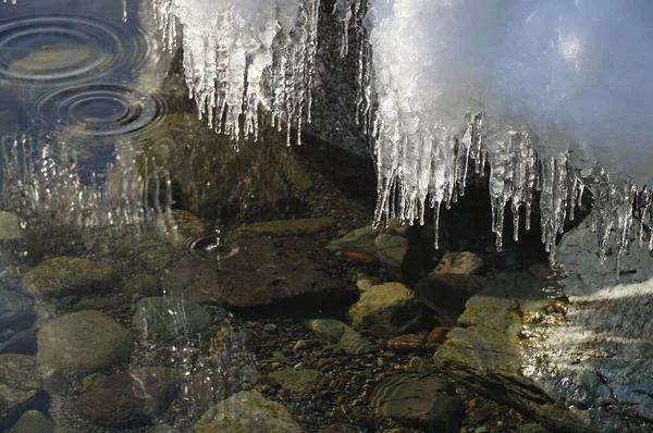 Beautiful Winter Spring Landscape Reflection Icicles Clear Water Lake Teletskoye — Stock Photo, Image