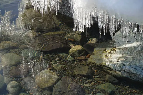 Schöne Winterlandschaft Spiegelung Von Eiszapfen Klaren Wasser Des Teletskoje Sees — Stockfoto