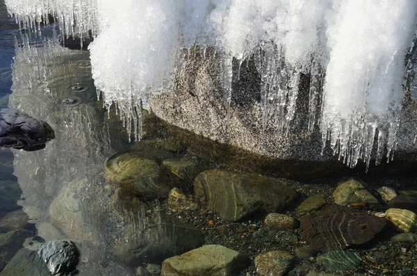 Krásná Zimní Jarní Krajina Odraz Rampouchů Průzračné Vodě Jezera Teletskoye — Stock fotografie