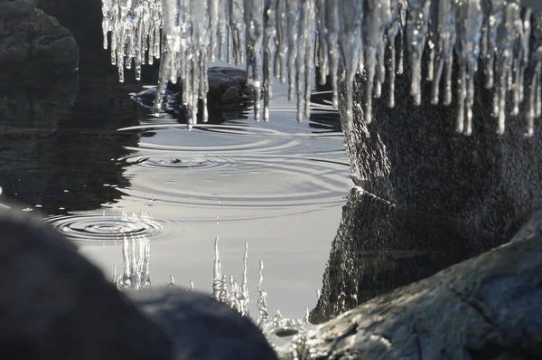 Krásná Zimní Jarní Krajina Odraz Rampouchů Průzračné Vodě Jezera Teletskoye — Stock fotografie
