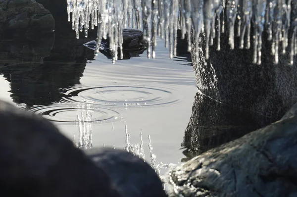 레스코 호수의 고드름을 반사하는 아름다운 겨울철 — 스톡 사진