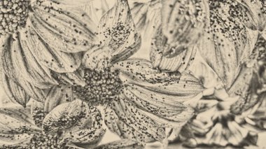 çiçek banner arka plan