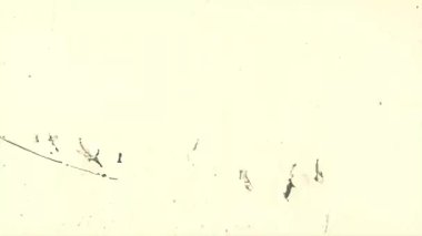 Açık bej renginde, arkaplanı dağınık boya lekeleri, kirli soyut yüzey, eski tuval, lekeli sıkıntılı analog doku ve ince çizikler.