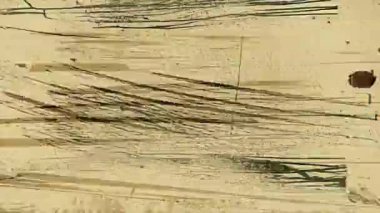 Bej rengi grunge boya dokusu, uzun koyu çizikler, kaotik fırça çizgileri, kirli soyut yüzey, eskimiş boya darbeleri ve analog giysi.