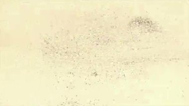 Açık bej rengi grunge doku arka plan, hafif ses ve toz, soluk aşınmış yüzey, asgari soyut tuval, ince tahıllı eski boya dokusu ve yumuşak analog sıkıntı