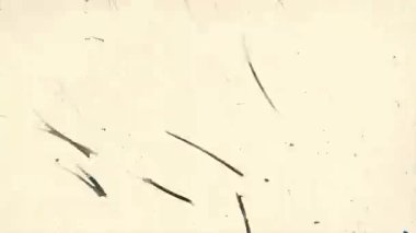 Kalem çizikleri, hafif lekeler, yumuşak gürültü, yıpranmış yüzey, ince analog sıkıntı, ham medya işaretli boş soyut arkaplan