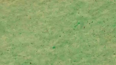 Eskimiş yeşil kağıt dokusu kaba lifli yüzey, organik tahıl yapısı, doğal geri dönüşümlü kağıt görünümü, ince lekeler, el yapımı kağıt hissi, eski analog malzeme, tasarım örtüleri ve hareketli arka planlar için grunge yüzey deseni