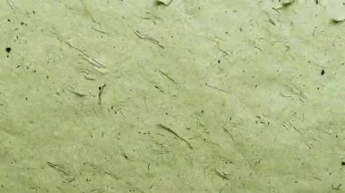 Organik lifli yeşil kağıt dokusu, kaba el yapımı yüzey, eski analog arkaplan, yumuşak pastel yeşil ton, geri dönüşümlü kağıt görünüş, grunge doğal malzeme, ince lekeli antika el işi dokusu ve düzensiz tahıl