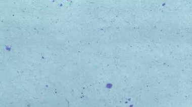 Açık mavi geri dönüşümlü kağıt dokusu görünür lifler, yumuşak tahıl yüzeyi, ince toprak parçacıkları, el yapımı kağıt görünümü, klasik analog arkaplan, organik selüloz yapısı, doğal malzeme yüzeyi, minimum grunge kağıt fon