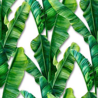 tropical seamless design, textile, leaves, jungle