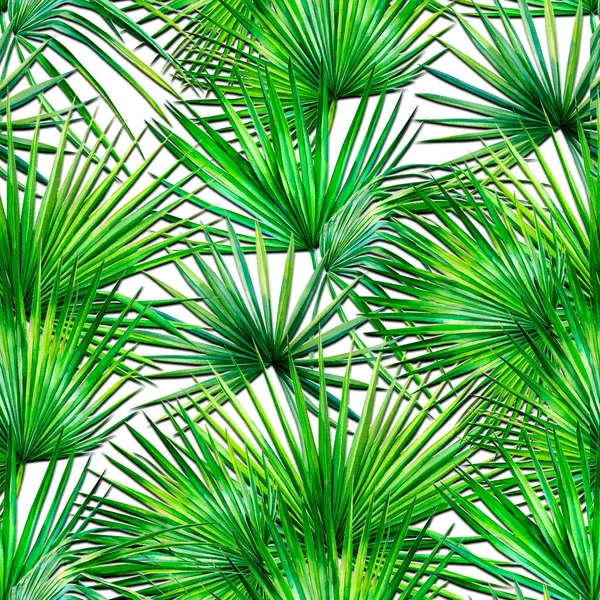 Tropický Bezešvý Design Textil Listy Džungle — Stock fotografie