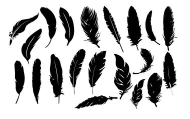 Tüyler, çizimler, farklı tüy türleri. Siyah ve beyaz tüyler, simgeler için kullanılabilir.