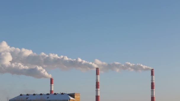 Impianto CHP fumante nella giornata invernale — Video Stock