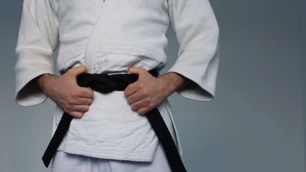 Arts martiaux Master avec ceinture noire — Video