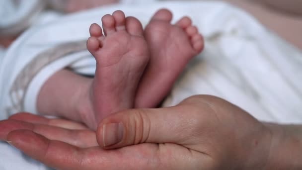 Madres manos acariciando recién nacidos pies de bebé — Vídeos de Stock