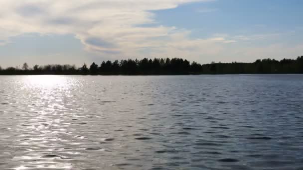 Une surface d'eau d'un lac — Video