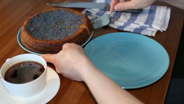 Mano femenina sirviendo un pastel — Vídeos de Stock