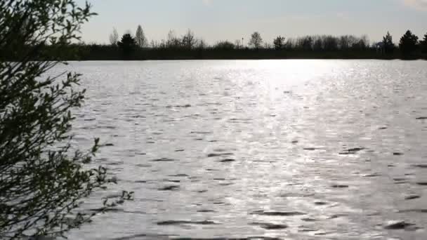 Uma superfície de água de um lago — Vídeo de Stock