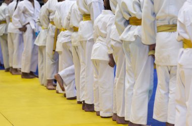 Dövüş sanatları eğitimi seminer üzerinde tatami üzerinde kimono duran çocuklarda grup