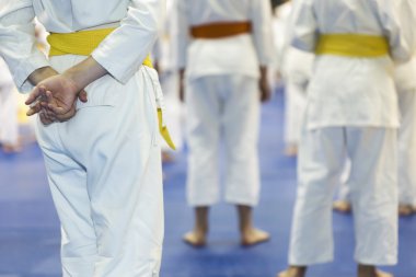 Dövüş sanatları eğitimi seminer üzerinde tatami üzerinde kimono duran çocuklarda grup