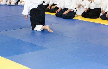 İnsanlar kimono ve tatami dövüş sanatları eğitimi üzerinde oturan hakama